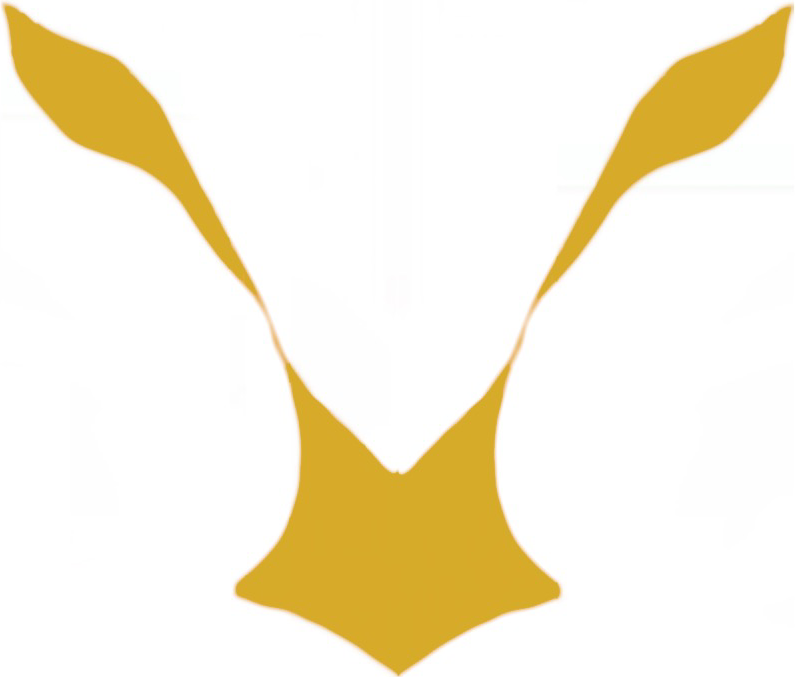 Taher Berenjian Hairstyling & Makeup Art